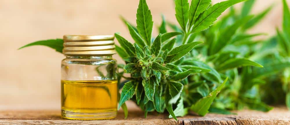 Everything you need to know about CBD.