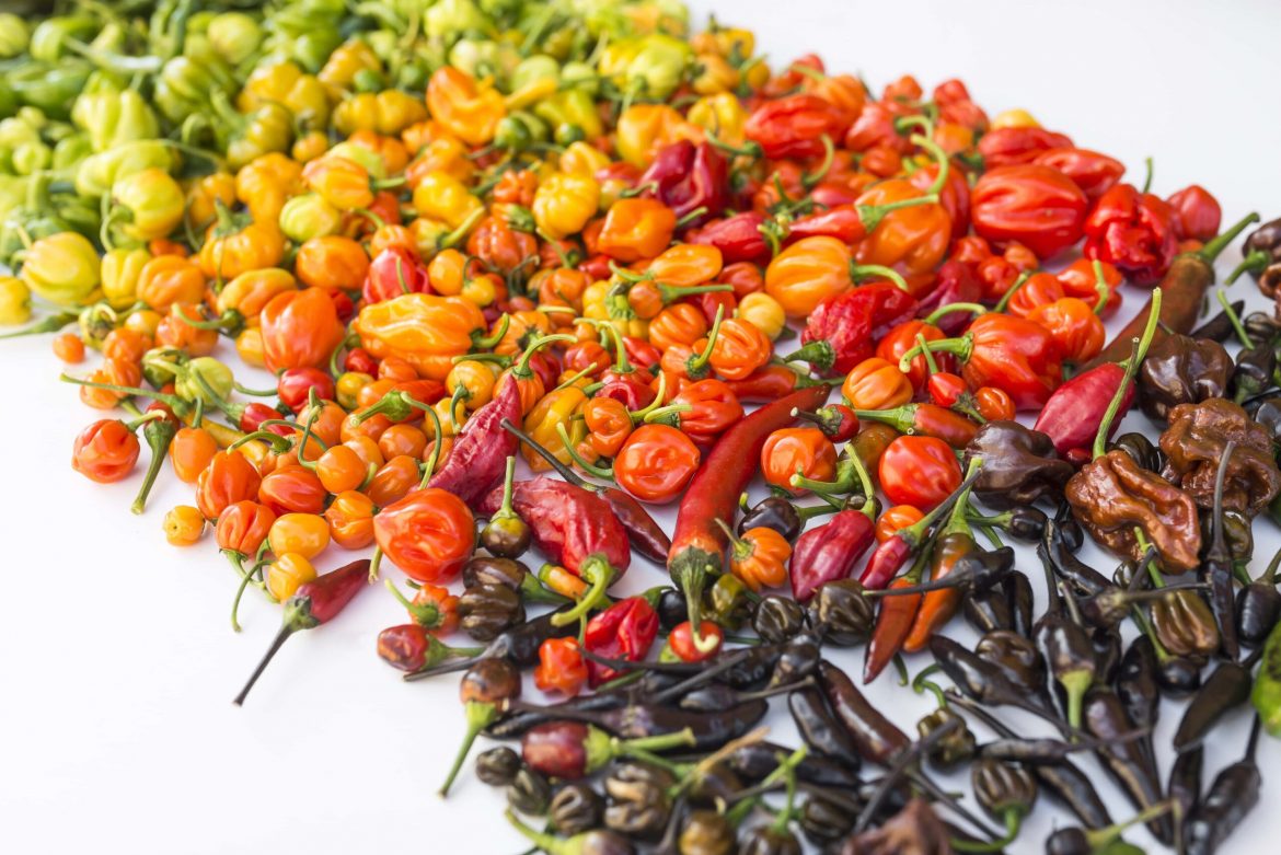 List of the Hottest Peppers in the World